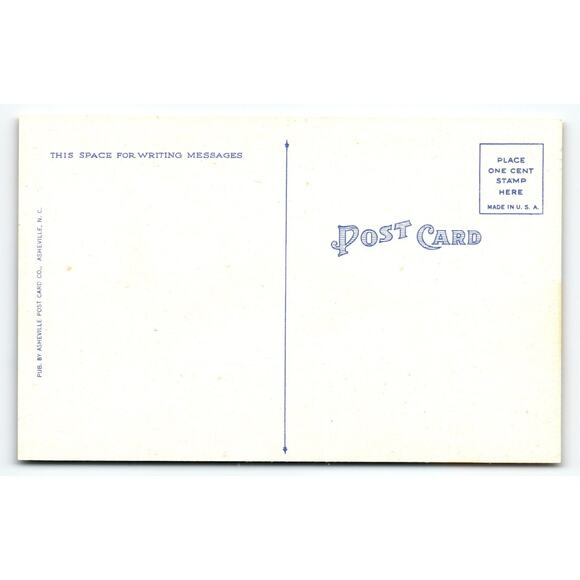 Vintage Linen Comic Postcard Fish Towed by Plane 1950s Asheville NC - Picture 2 of 2